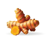 Temulawak